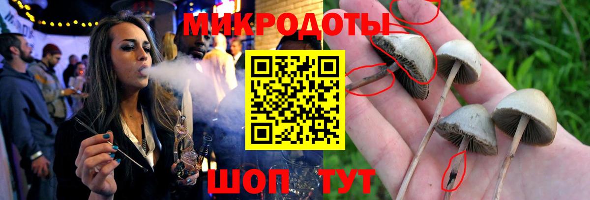 Ростов-на-Дону  Галлюциногенные грибы ЛСД  Вход с VPN 